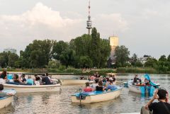 Silent Bootskonzert #6: Scheibsta & die Buben / Foto: H. Prochart