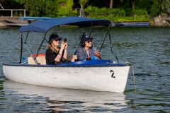 Silent Bootskonzert - Ankathie Koi - Photo: H. Prochart